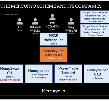 Mercuryo scheme and companies